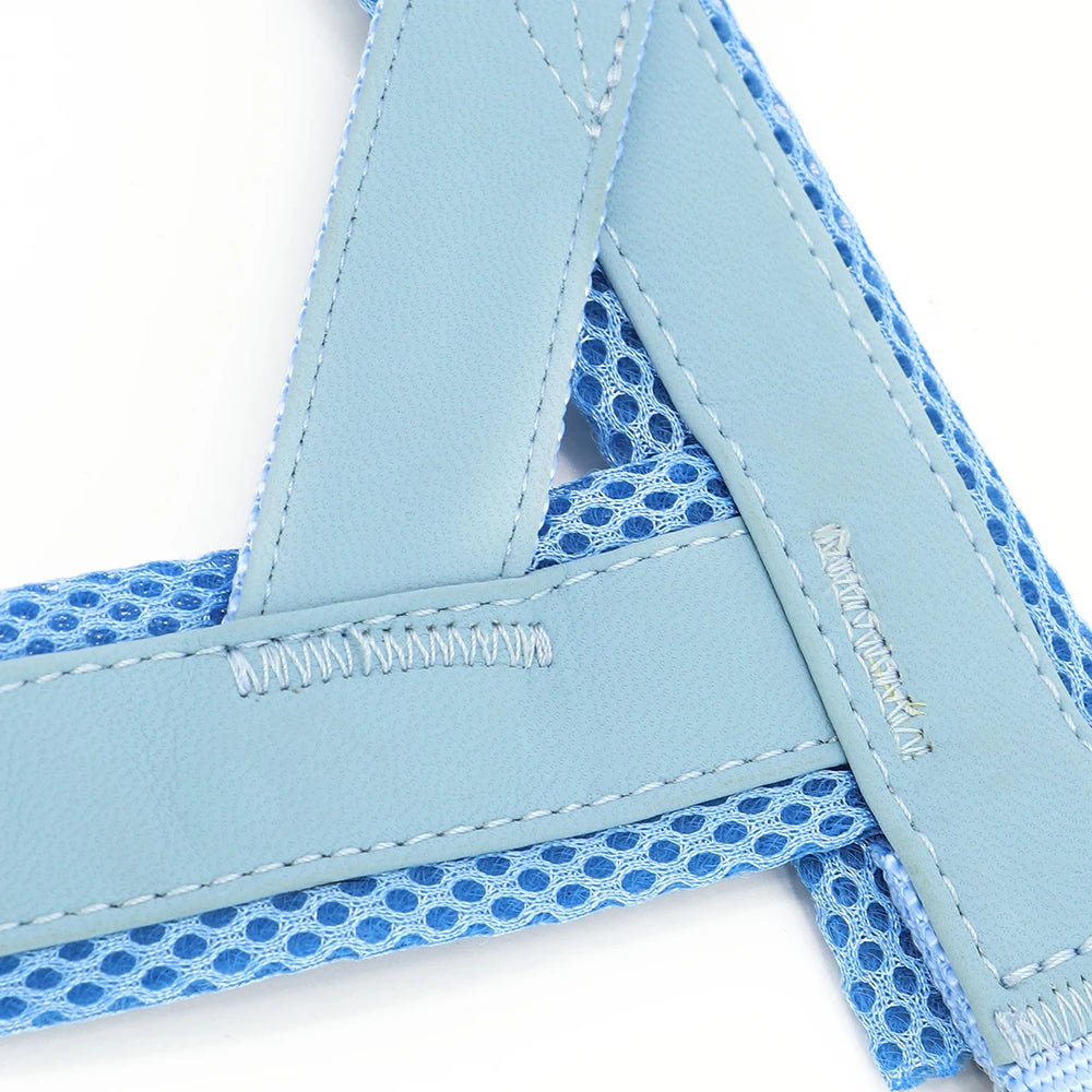 Personalized Large Dog Harness