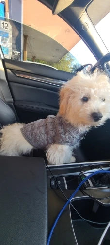 Knitted Clothes For Dogs Chihuahua