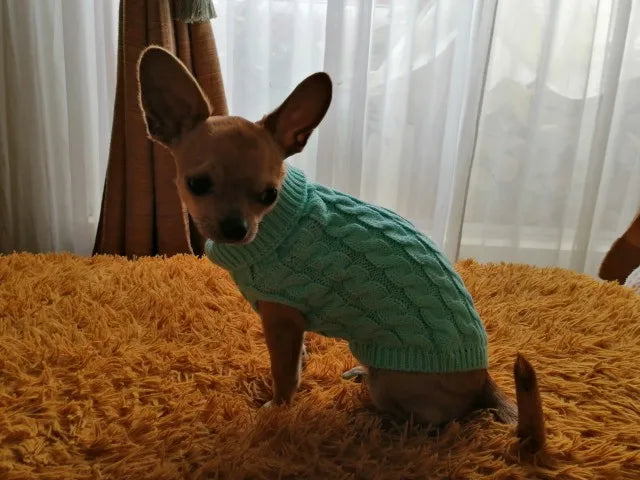 Knitted Clothes For Dogs Chihuahua