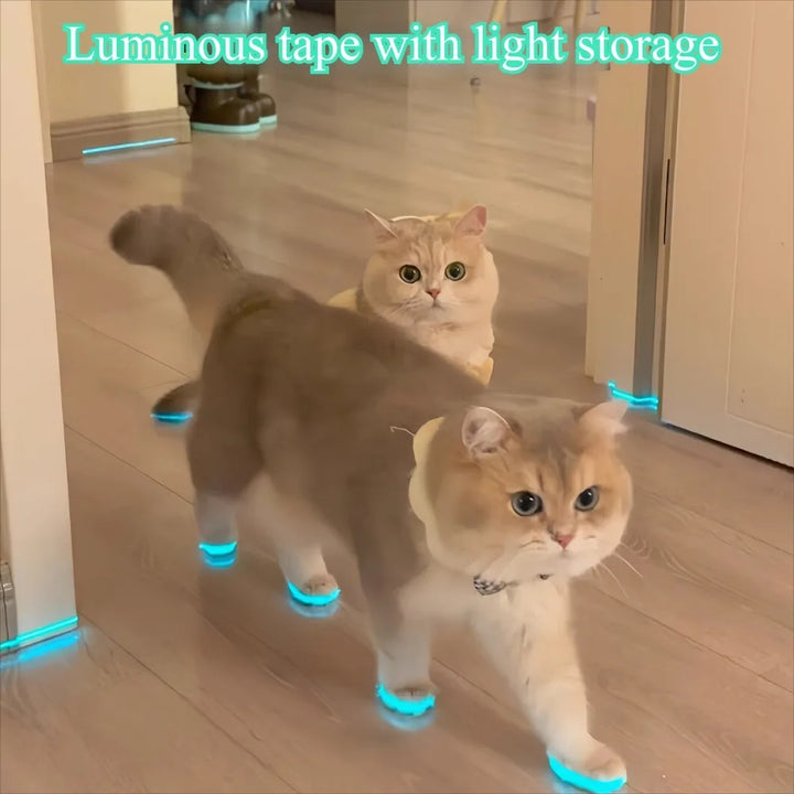 Cat luminous stickers adhesive