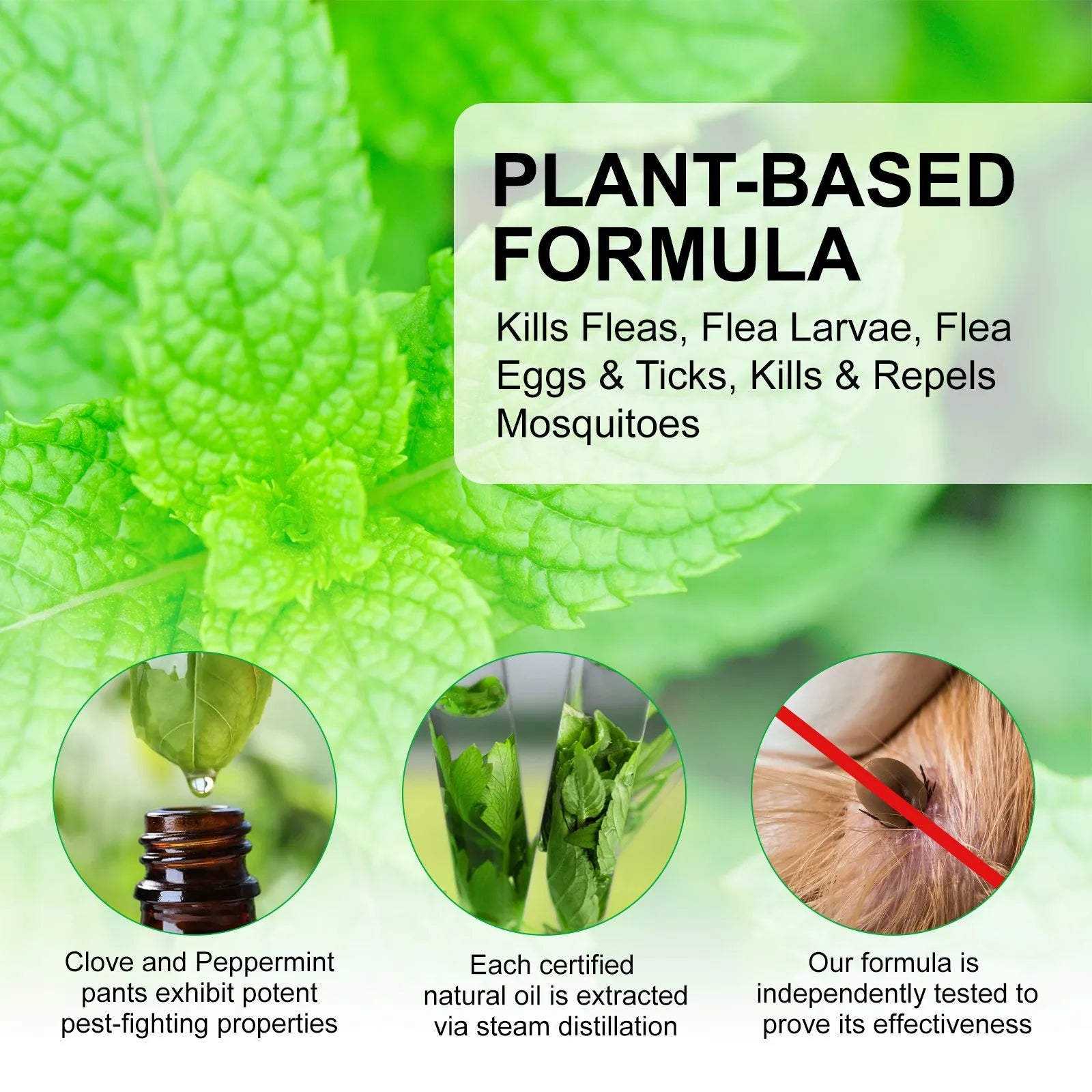 100ml Natural Pet Care Topical